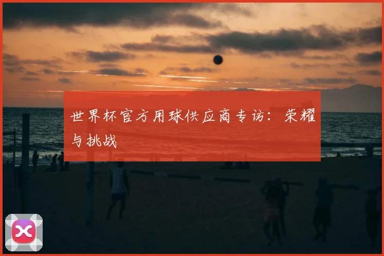 世界杯官方用球供应商专访：荣耀与挑战