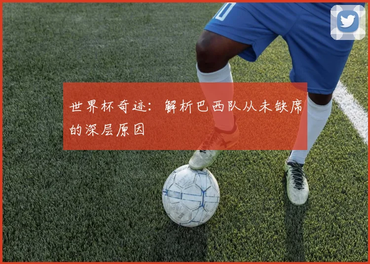 世界杯奇迹：解析巴西队从未缺席的深层原因