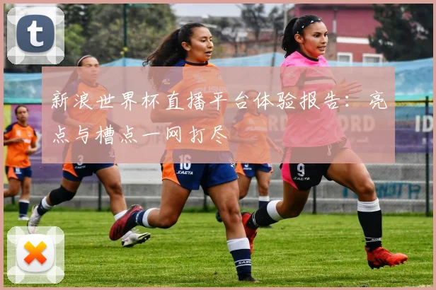 新浪世界杯直播平台体验报告：亮点与槽点一网打尽
