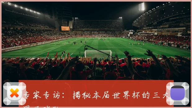 专家专访：揭秘本届世界杯的三大黑马球队