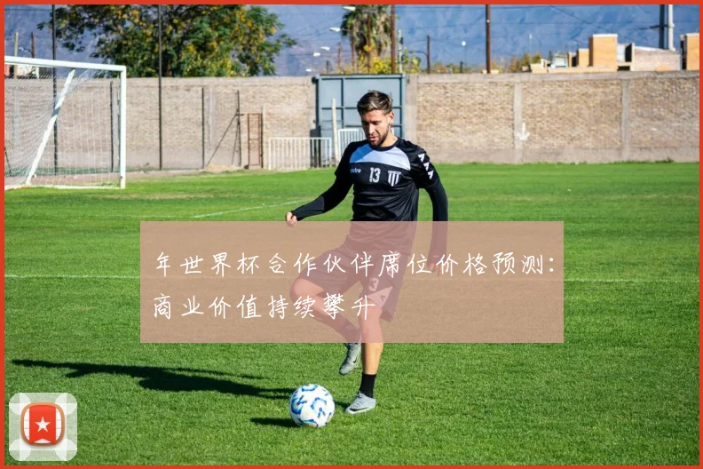 年世界杯合作伙伴席位价格预测：商业价值持续攀升
