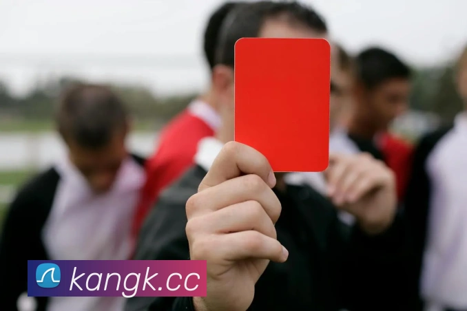 开云手机入口登录官网全站App